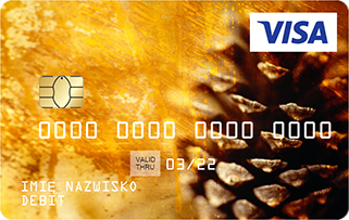 Wzór karty: szyszka