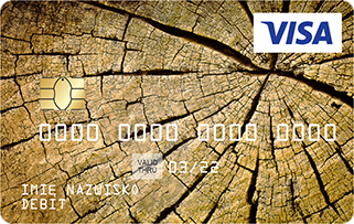 Wzór karty: przekrój przez pień