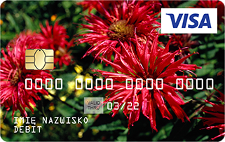 Wzór karty: czerwone kwiaty