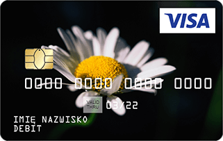 Wzór karty: margaretka