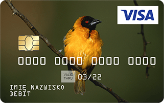 Wzór karty: żółty ptak