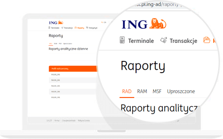 Podgląd systemu ING POS - widok raporty