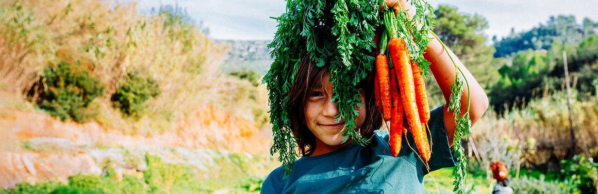Chłopczyk trzymający w dłoni kilka marchewek