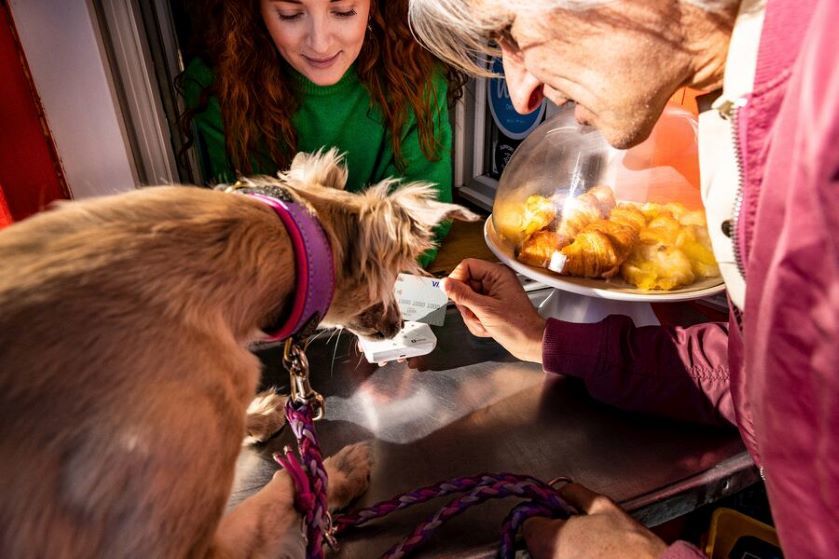 Starsza kobieta w towarzystwie psa płaci kartą Visa w cukierni