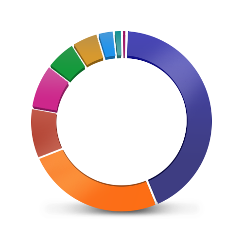 Wykres kołowy wykorzystywany do przedstawienia wydatków i finansów w aplikacji Moje ING